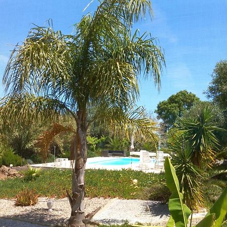 Quinta Laranjal Da Arrabida Bed & Breakfast Palmela Dış mekan fotoğraf