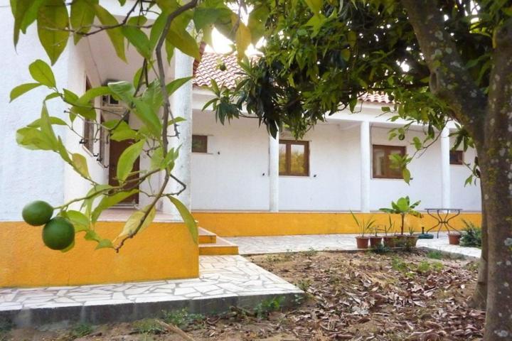 Quinta Laranjal Da Arrabida Bed & Breakfast Palmela Dış mekan fotoğraf