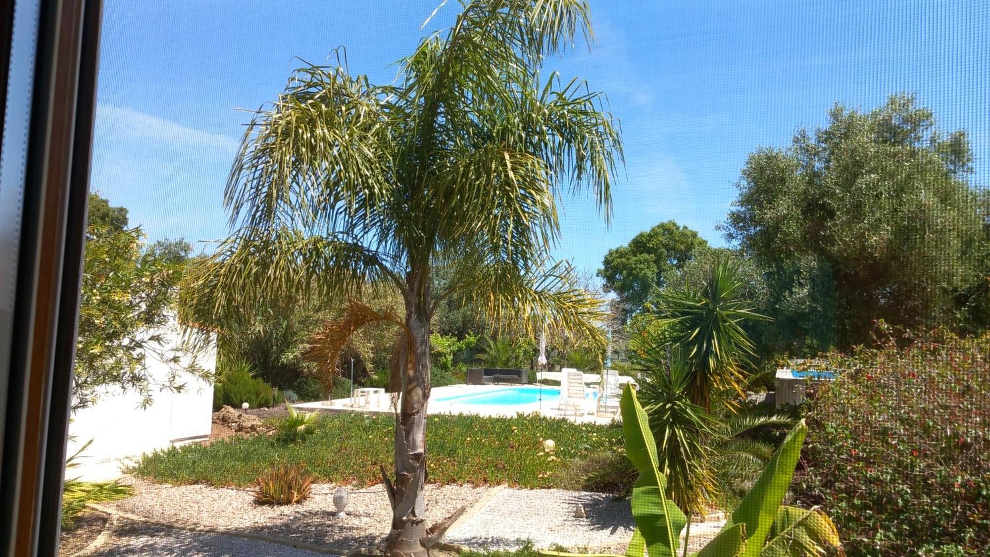Quinta Laranjal Da Arrabida Bed & Breakfast Palmela Dış mekan fotoğraf